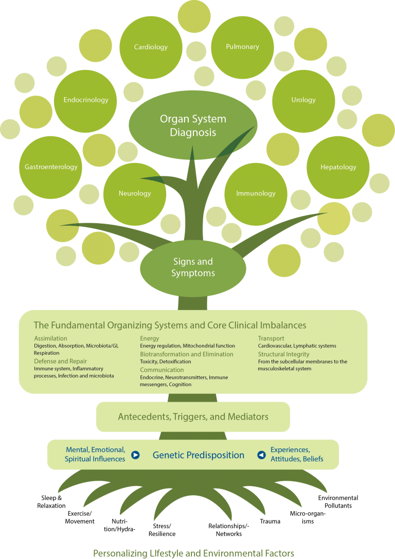 The Fundamental Organizing Systems and Core Clinical Imbalances infographic