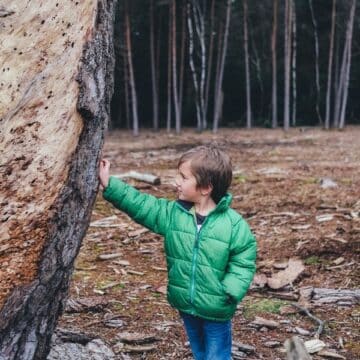 Boy in green coat standing next to a tree and touching it