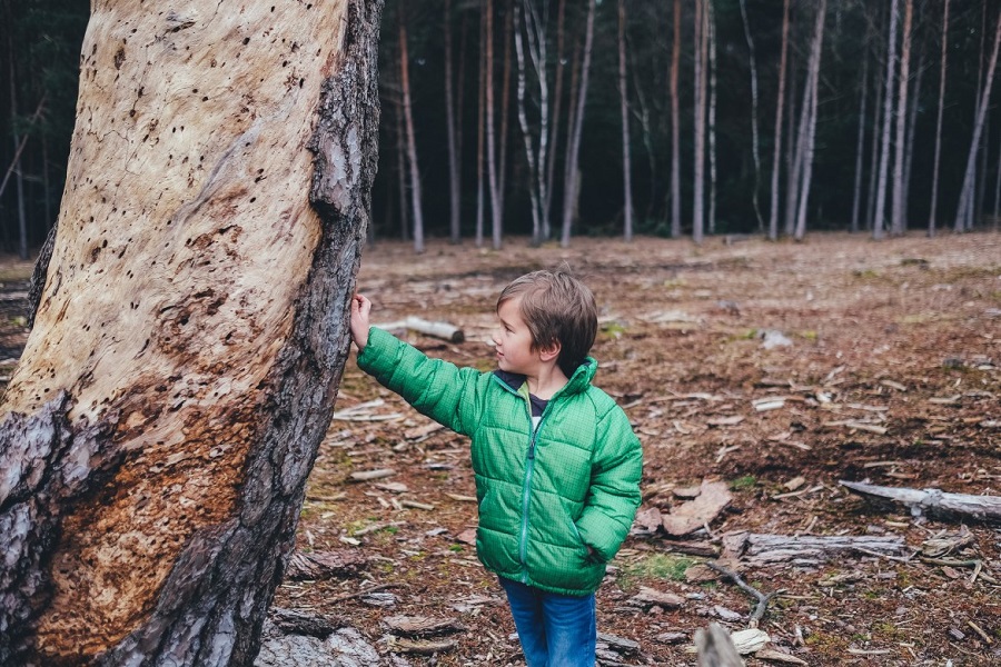 Boy in green coat standing next to a tree and touching it