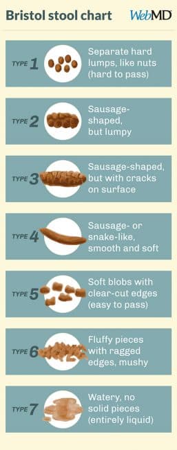 Bristol Stool Chart