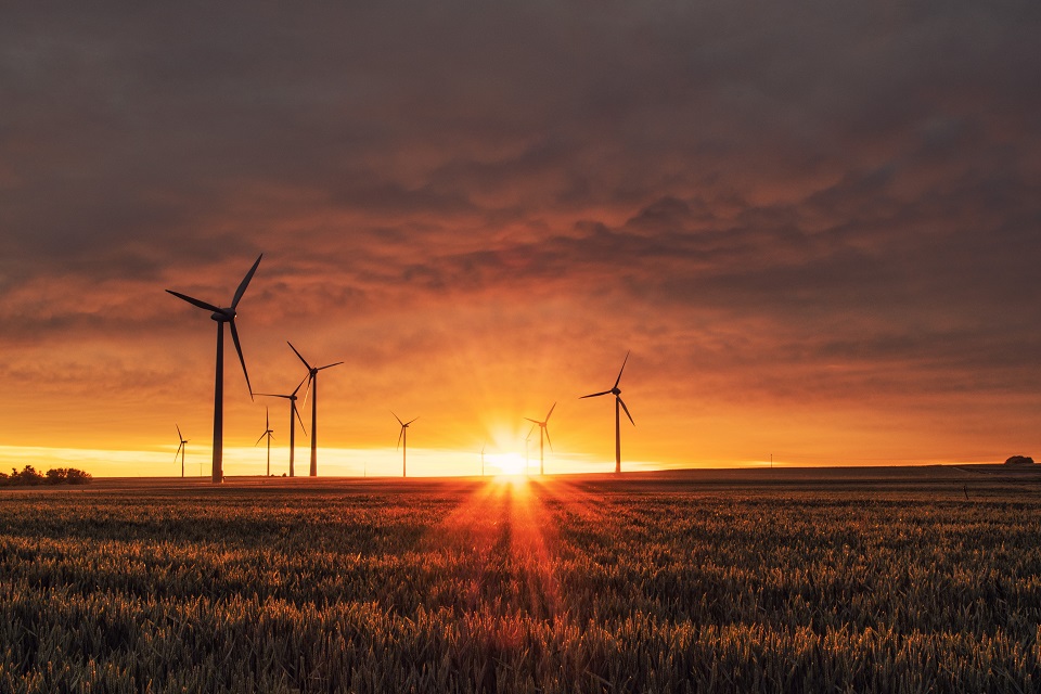 Windmills in a field at sunset