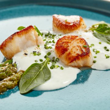 Scallops with microplastics in them