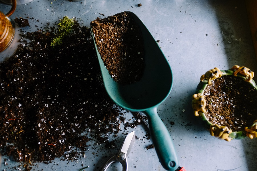 Potting mix in a small shovel