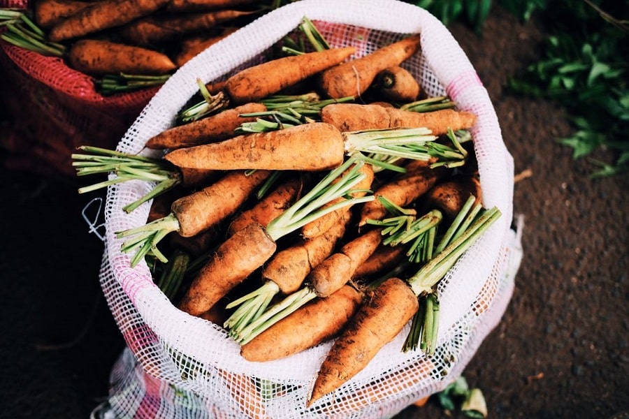 Carrots with dirt on them in a white mesh bag